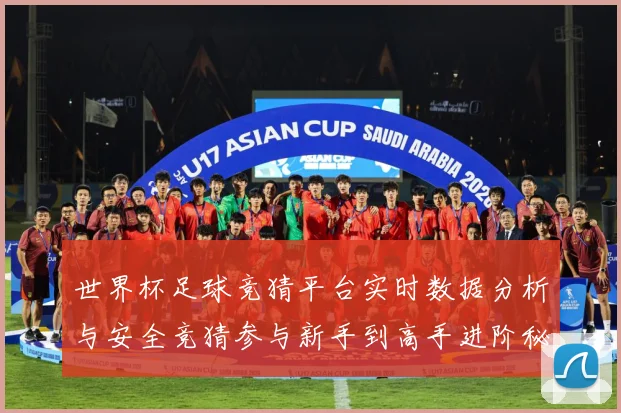 世界杯足球竞猜平台实时数据分析与安全竞猜参与新手到高手进阶秘数据研判