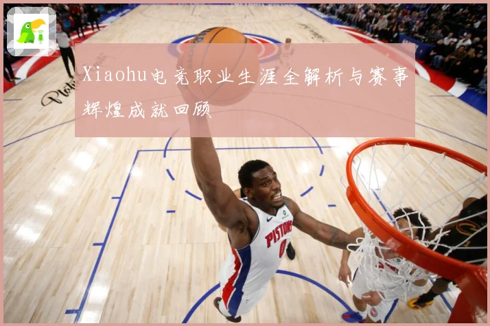 Xiaohu电竞职业生涯全解析与赛事辉煌成就回顾