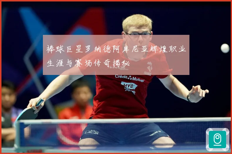 棒球巨星罗纳德阿库尼亚辉煌职业生涯与赛场传奇揭秘