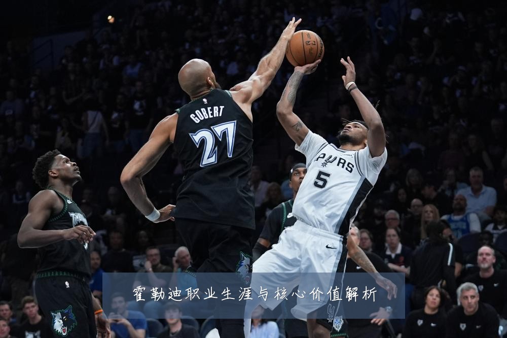 霍勒迪职业生涯与核心价值解析